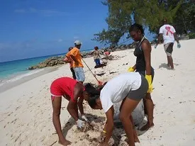 Beach Clean Up
